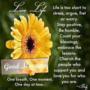 Meet your Posher, Dawn